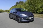 Ford Fiesta Metal 2012 года